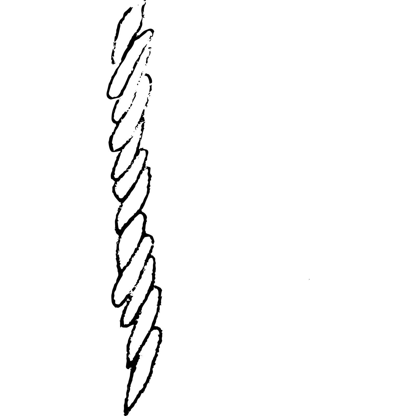 糸の構造